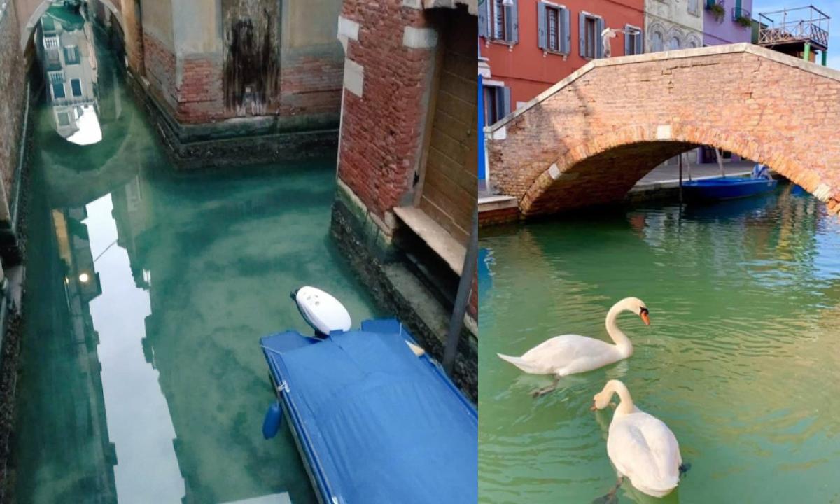 Venezia Ai Tempi Del Coronavirus Acqua Limpida E Canale Pulito IL