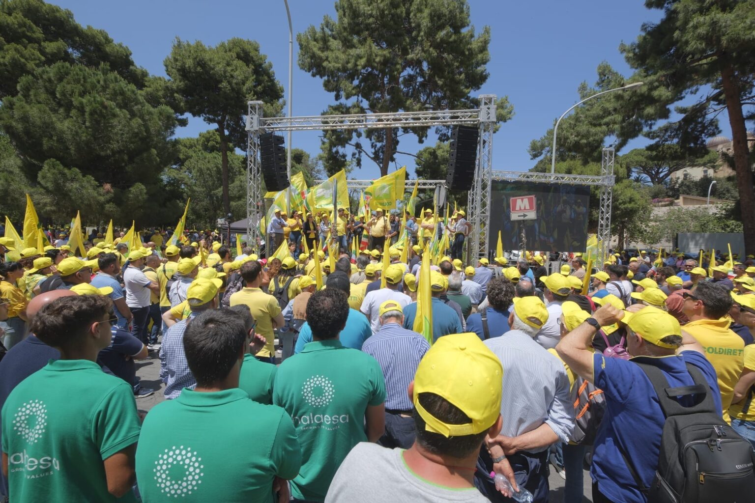 Siccit In Sicilia Coldiretti Porta Mila Persone A Palermo