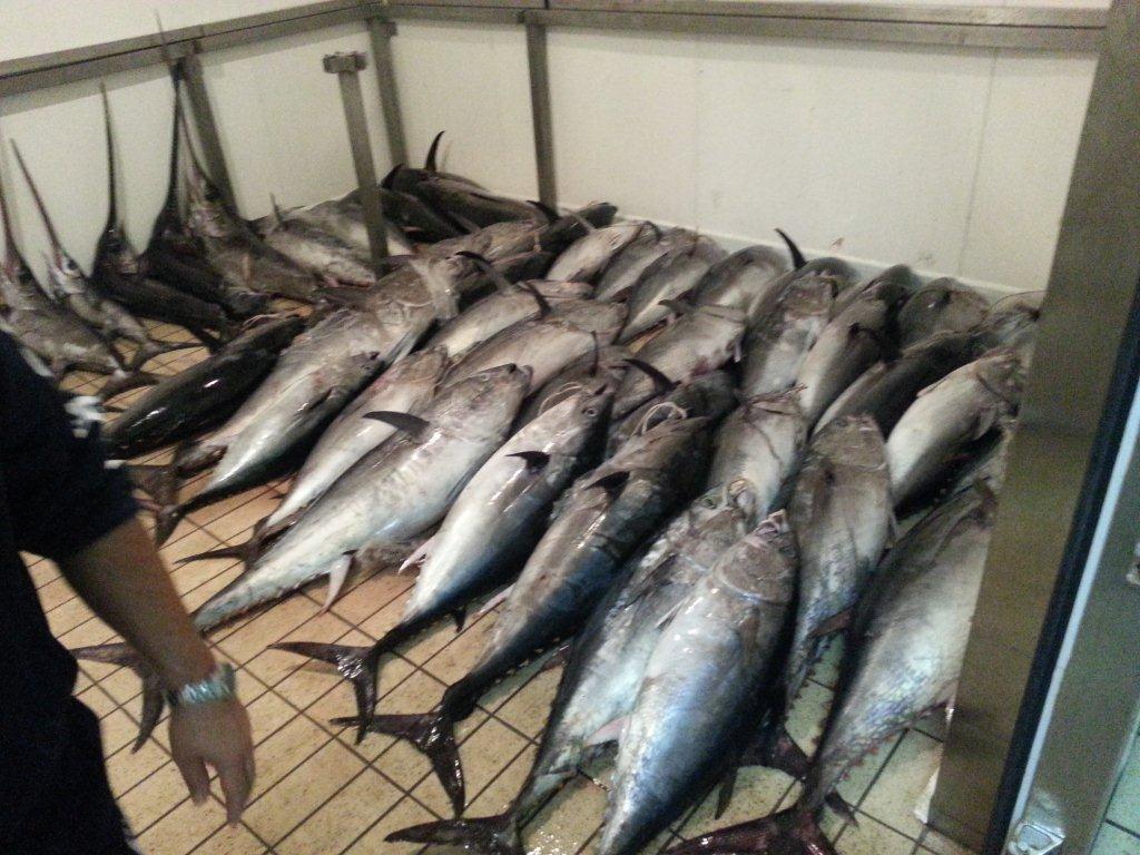 Guardia Costiera: tutela degli stock ittici, a Marsala elevati verbali per un totale di 30mila euro