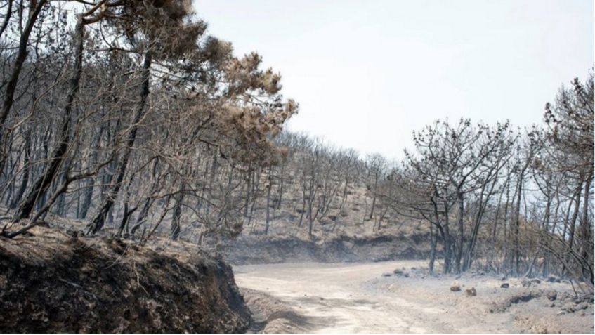 Pantelleria brucia ancora. Il sindaco chiede lo stato di emergenza