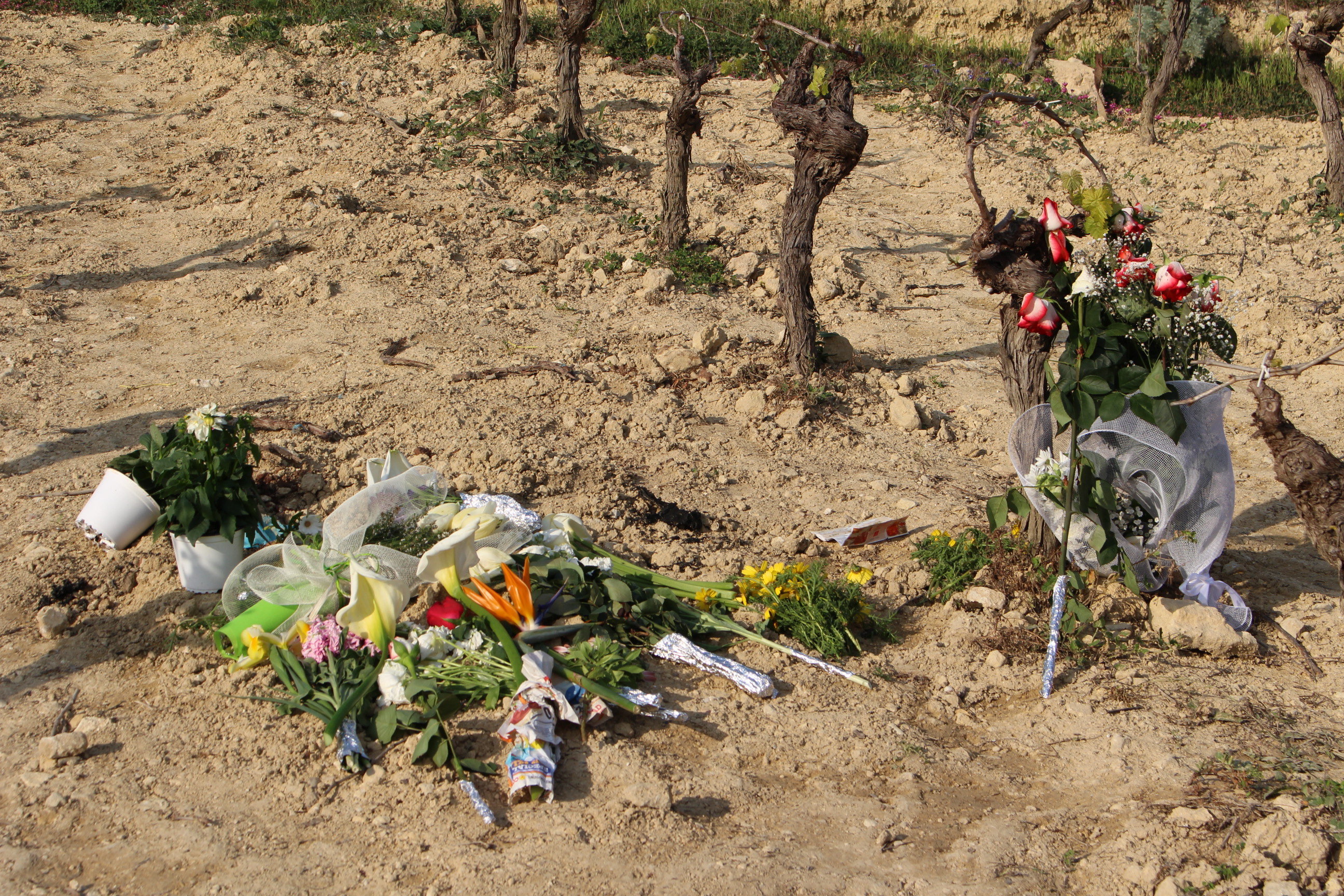 Marsalesi in pellegrinaggio a Sant’Onofrio per rendere omaggio a Nicoletta