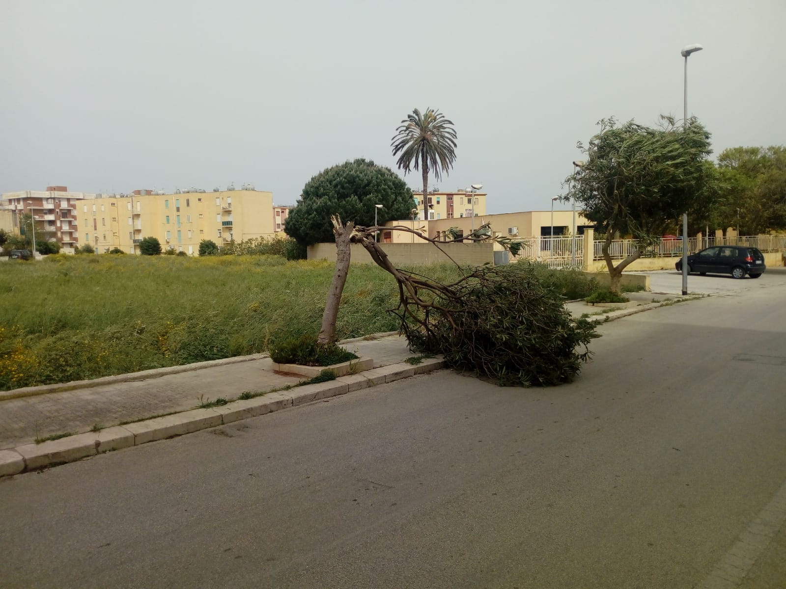 Scirocco da record in provincia di Trapani. Danni e disagi ovunque, super lavoro per i Vigili del Fuoco