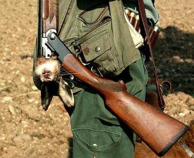 Si chiude la Caccia, gli ambientalisti: “In Sicilia sistema fuori controllo”. Meno cacciatori ma disegno di legge a favore