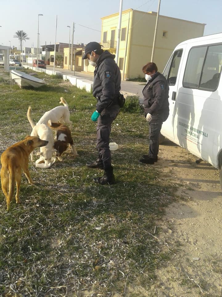 Petrosino aiuta gli animali abbandonati. Giacalone: “C’è anche emergenza povertà”