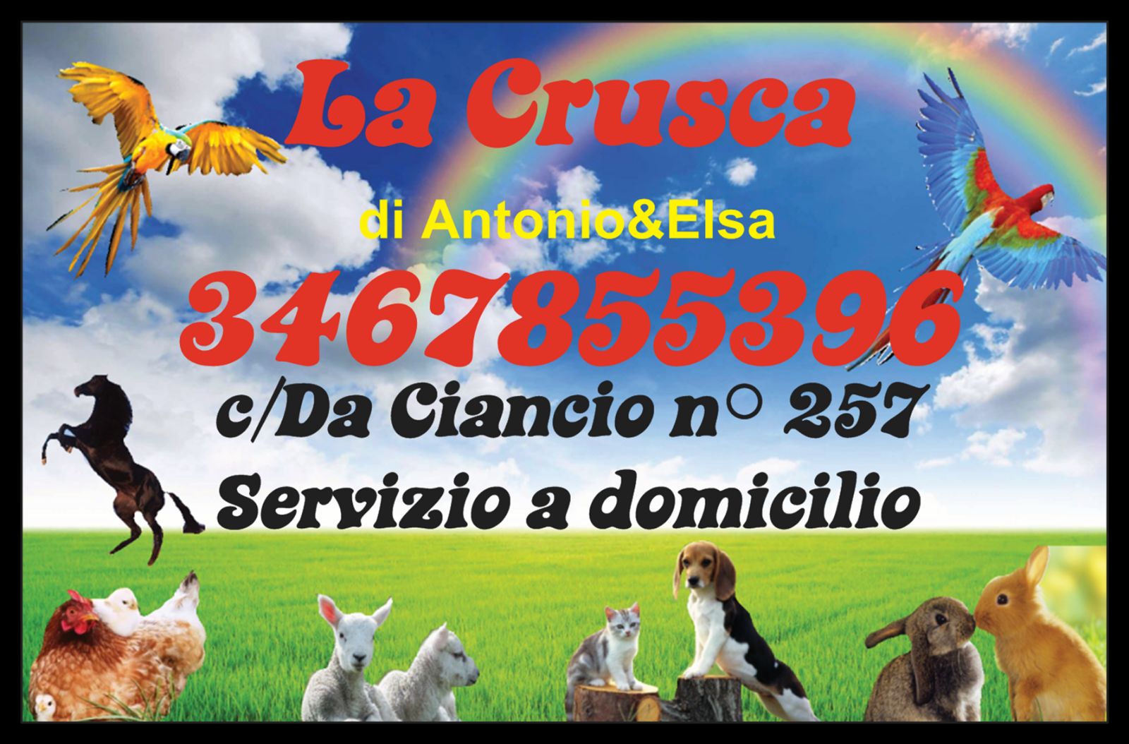 Mangime e prodotti per animali con “La Crusca”