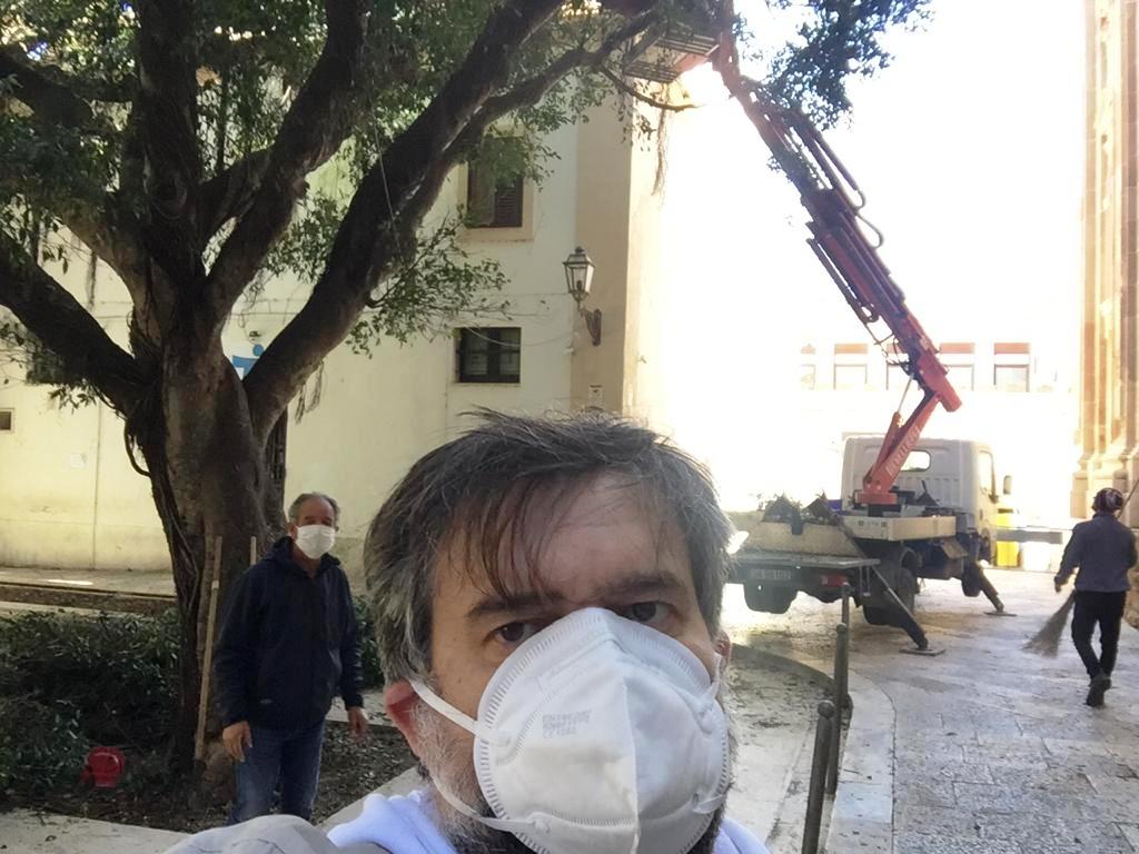 Verde pubblico, iniziata la potatura degli alberi monumentali di Marsala