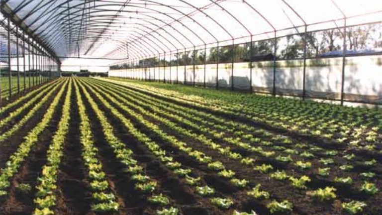 Operai agricoli e florovivaisti, rinnovato il contratto provinciale