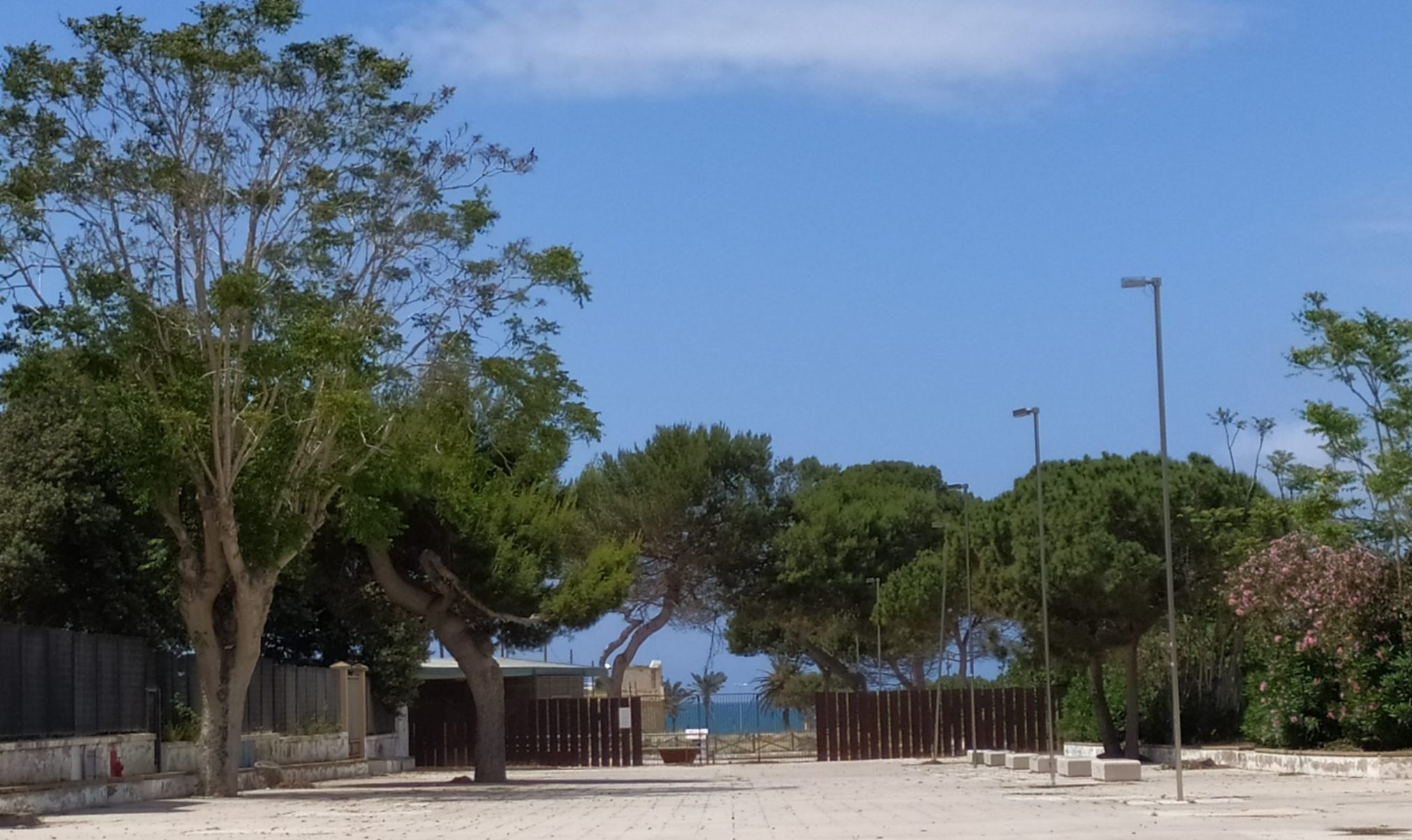 Scrive Franco Rapisarda sull’apertura del viale di Porta Nuova