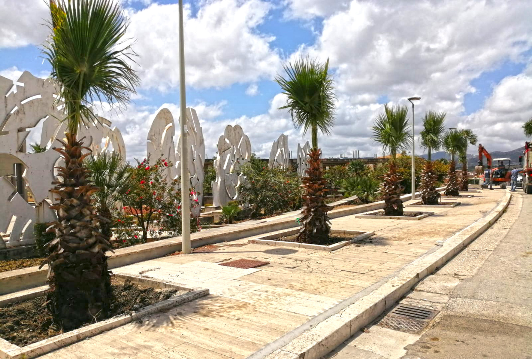 Gibellina: tutela dell’ambiente e intervento su verde pubblico, tornano le palme