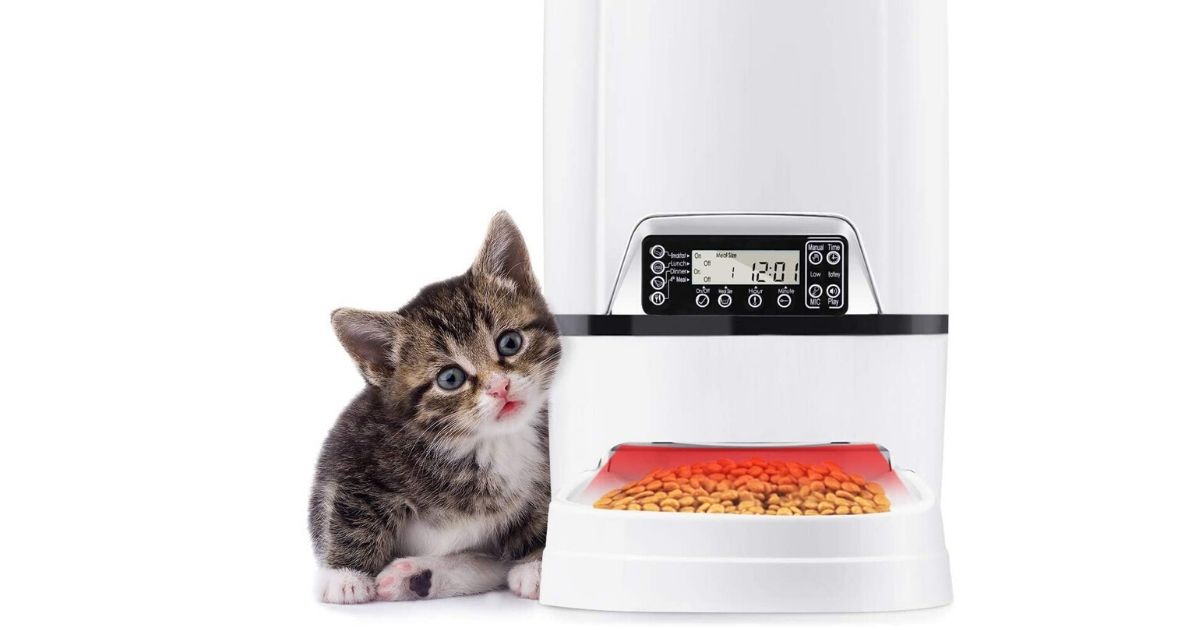 Inventato il distributore automatico per cani e gatti