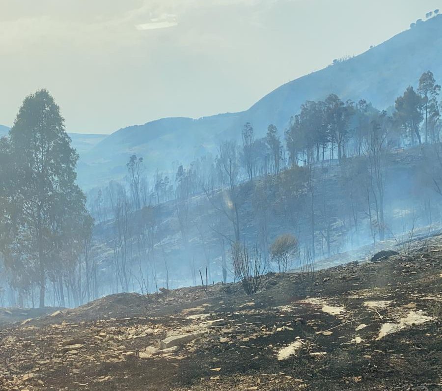 Incendio sul monte Inici, in fiamme 500 ettari di bosco. Il sindaco di Castellammare: “Ennesimo gesto vile”