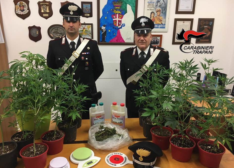 Droga a Marsala, arrestato un pregiudicato. Aveva una piantagione di canapa in giardino