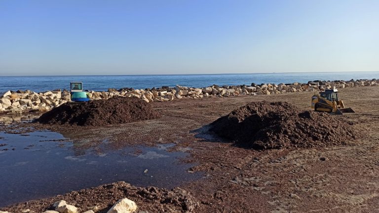 Custonaci e San Vito Lo Capo uniti per l’ambiente