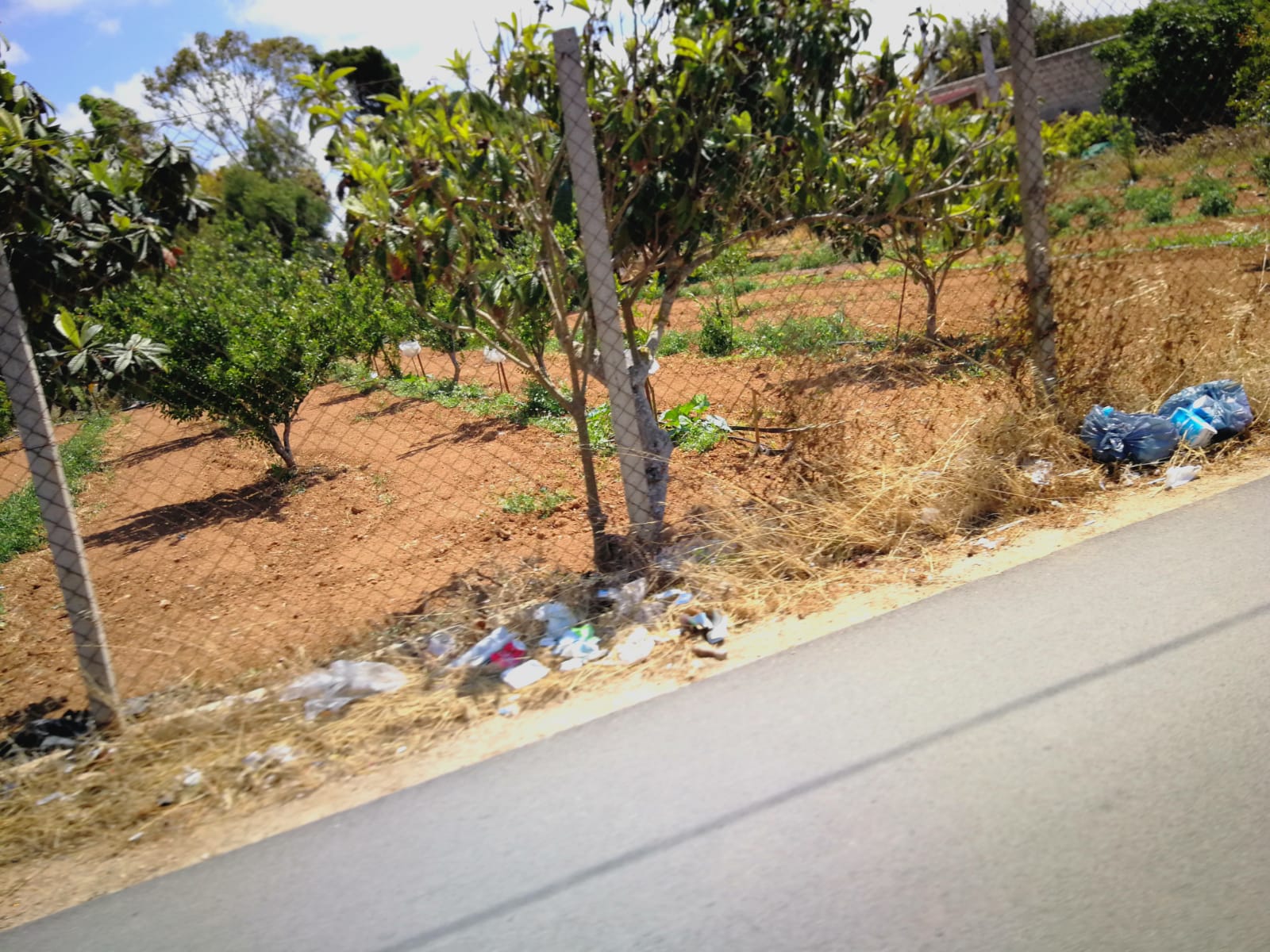 ProgettiAmo Marsala interviene sulla pulizia della città