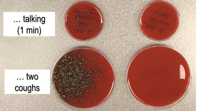 Non usi la mascherina? Ecco cosa accade