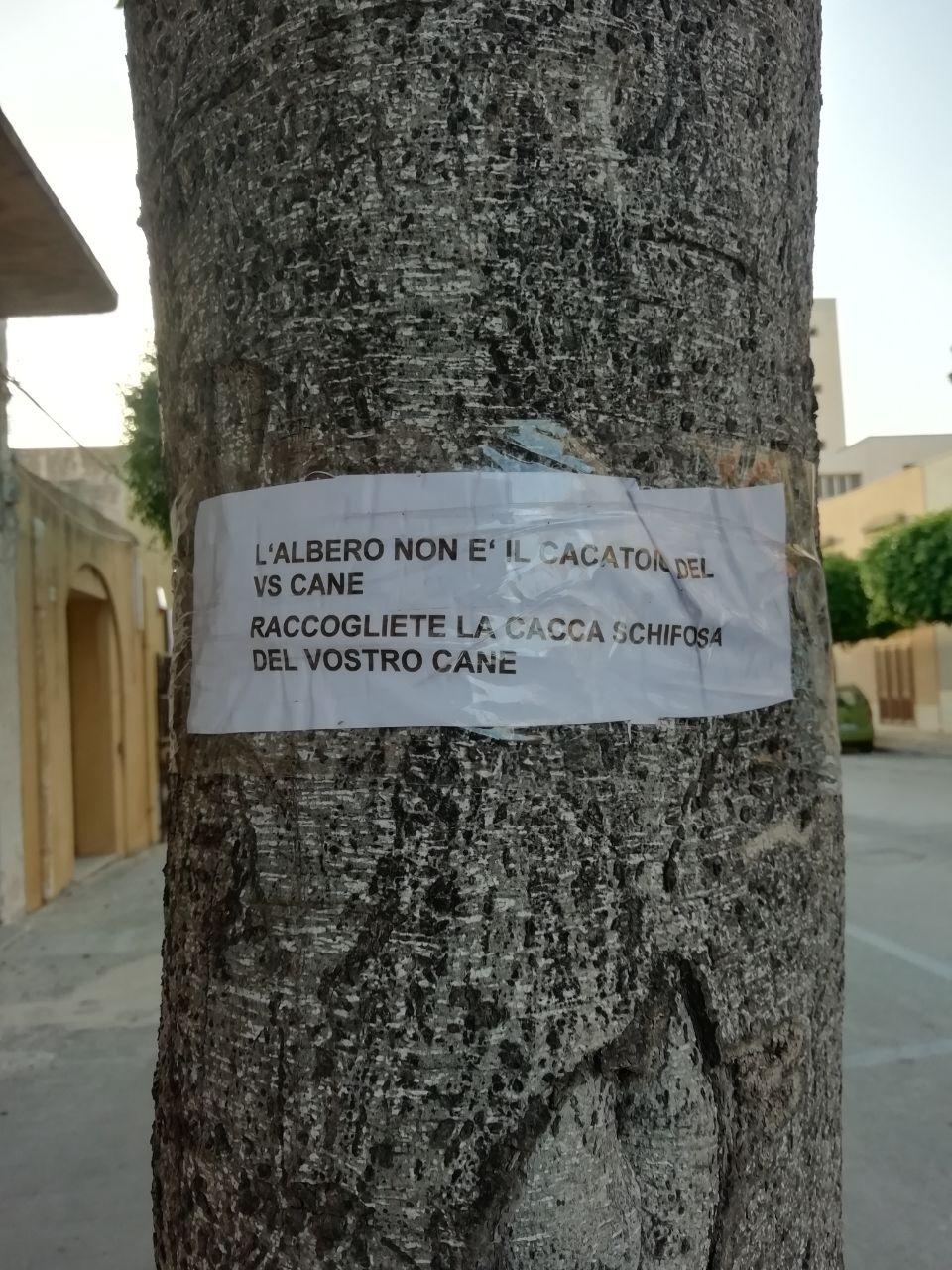 Marsala: negli alberi di via Pascasino un… invito ai padroni dei cani