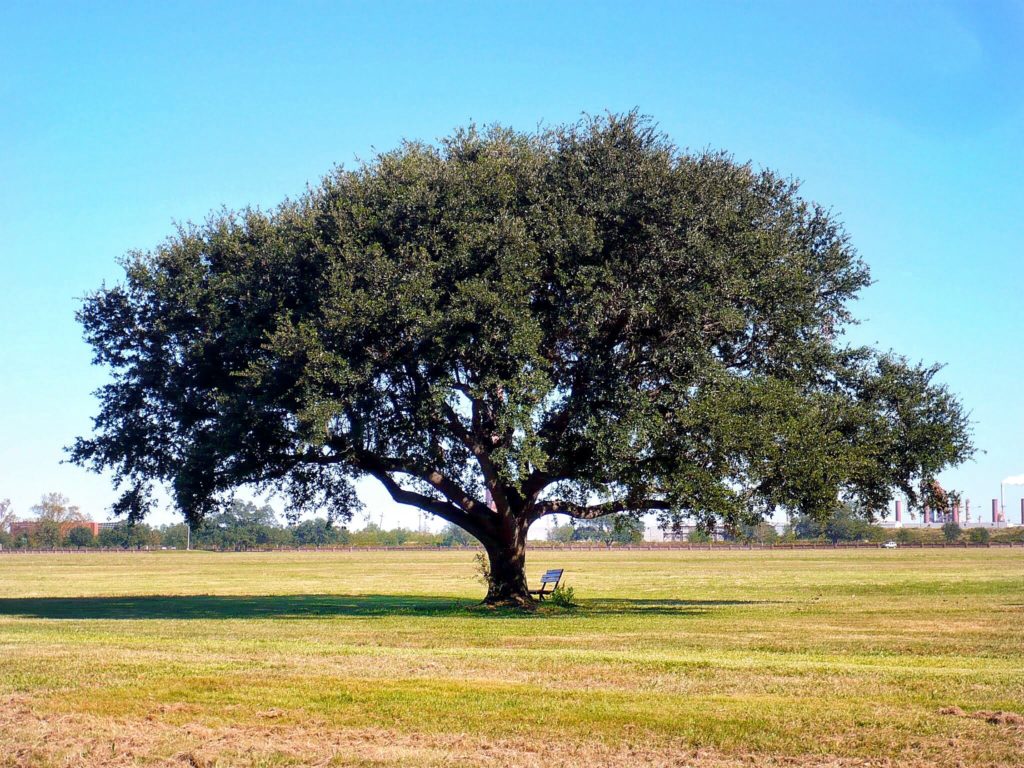 Turismo sostenibile, 890 mila euro in arrivo per dodici Comuni del trapanese
