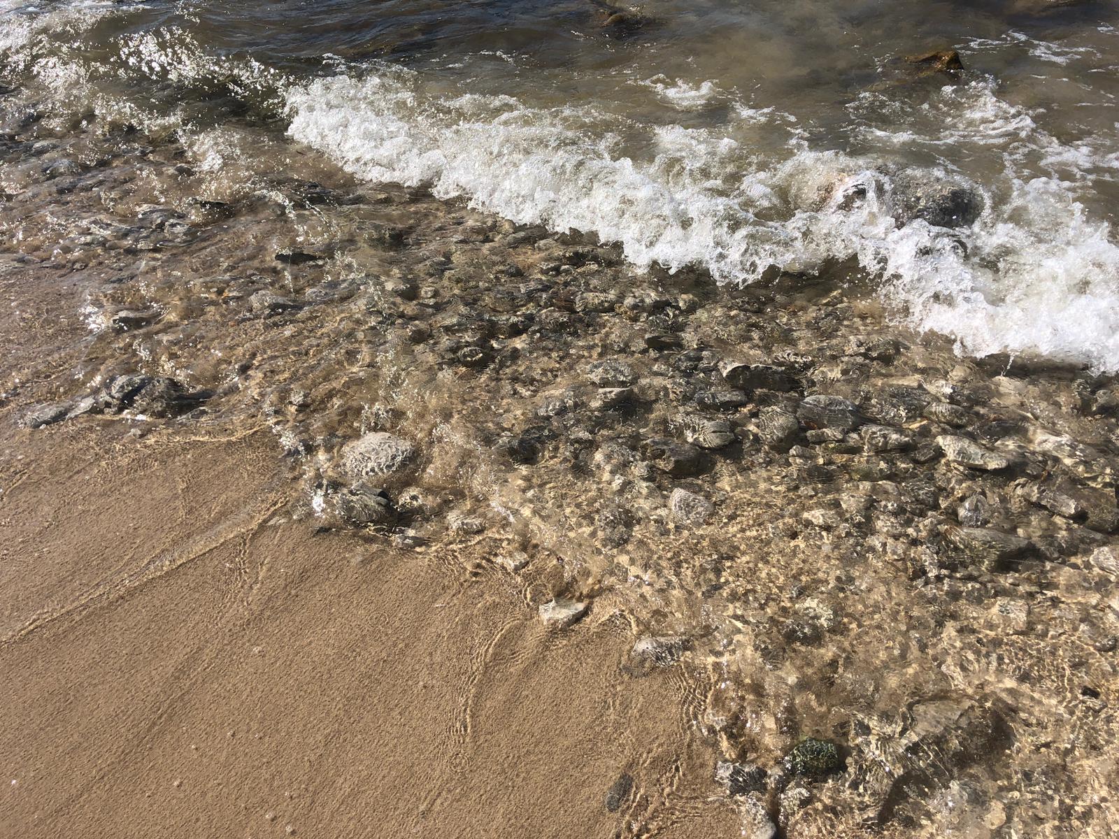 Erosione del litorale a San Vito: No Marine Resort lancia l’allarme