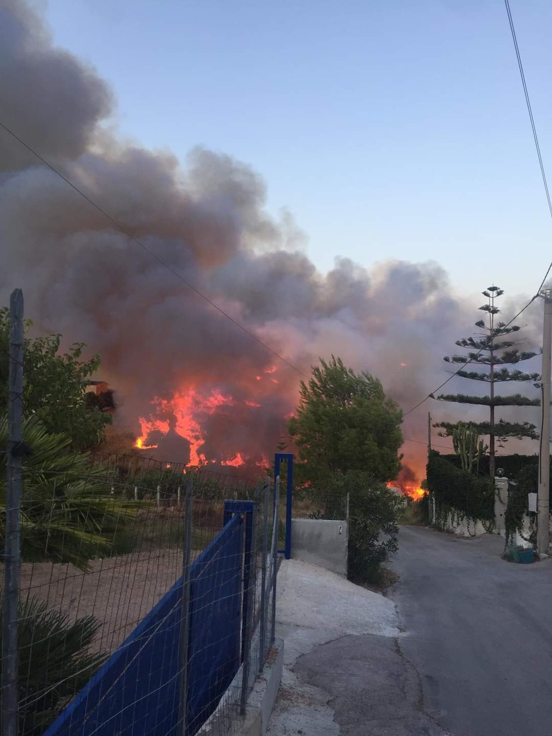 Alcamo: giornata di incendi. Il sindaco: “Grazie a Vigili del Fuoco e Protezione Civile”