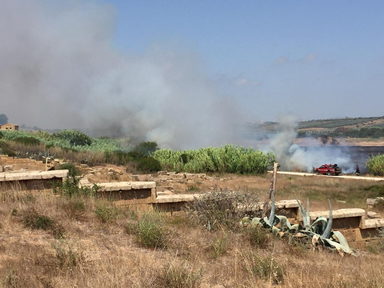 Incendio a Selinunte, interessata l’Area Archeologica