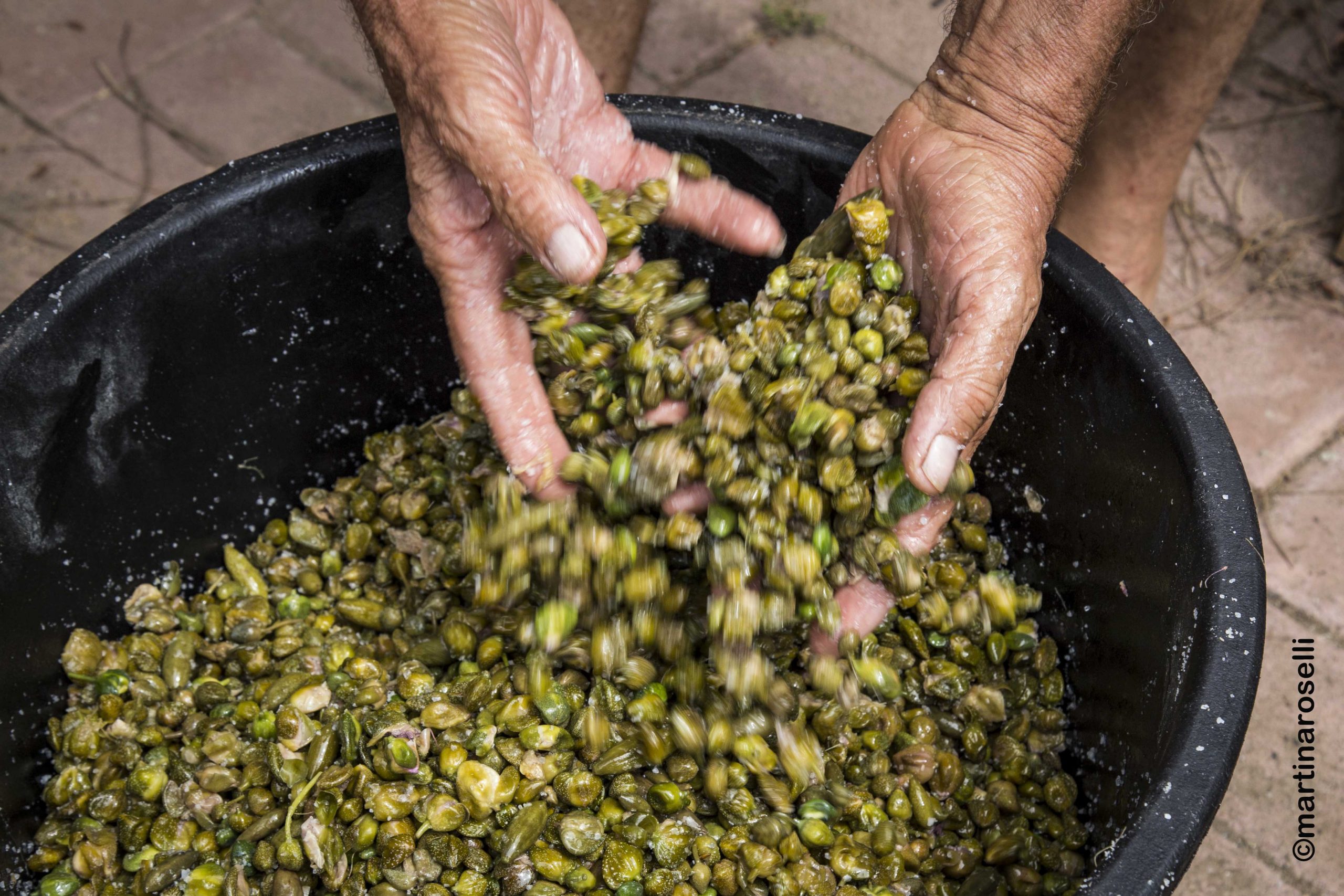 Un cappero contro il Covid: il Parco di Pantelleria ne promuove l’utilizzo