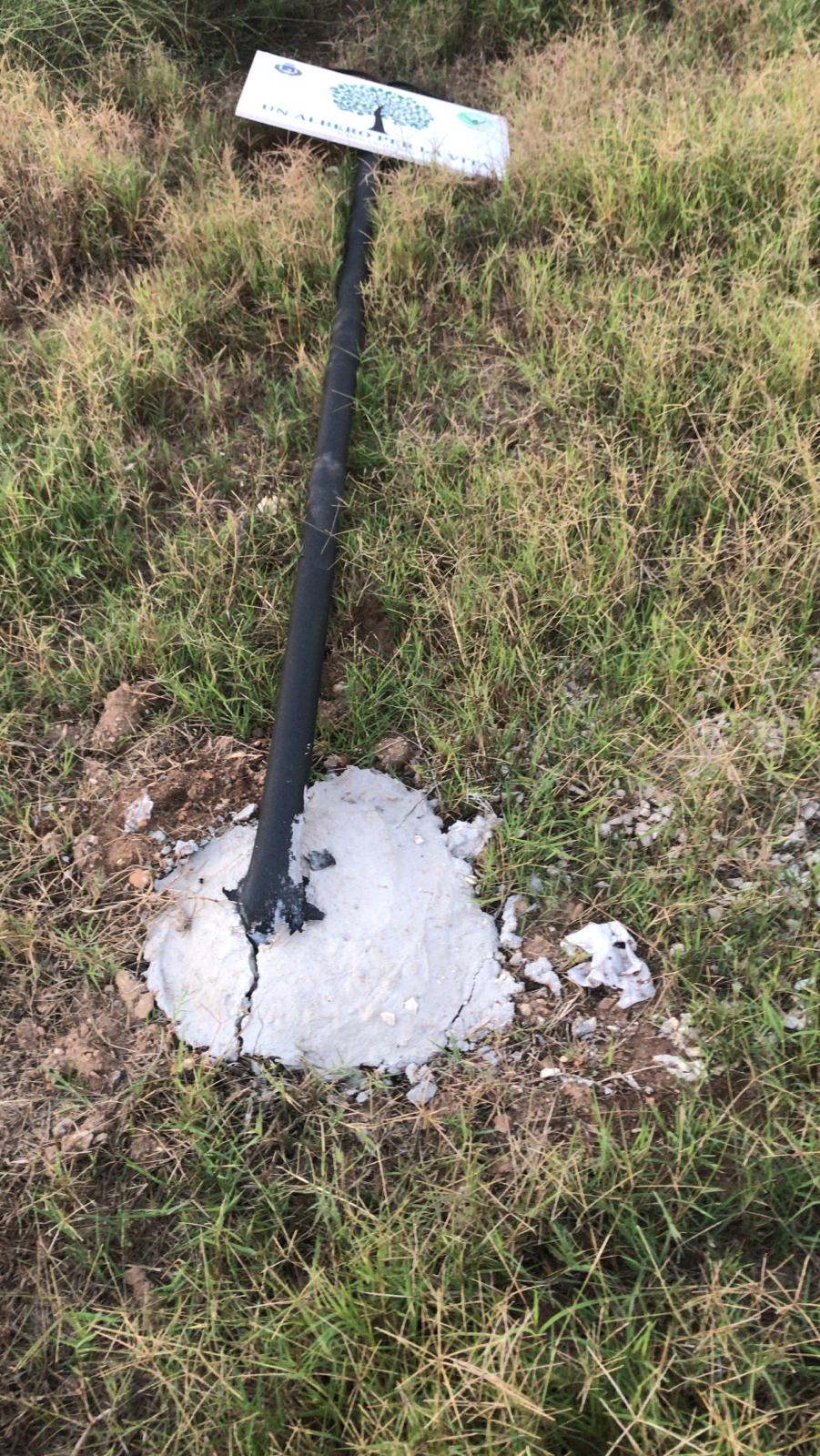 Al Parco della Salinella divelta la targa “Un albero per la vita”: “Crediamo sia doloso”