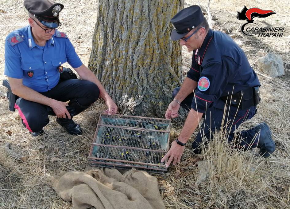 Maltrattamenti e furto venatorio a Castellammare: arrestato un bracconiere palermitano