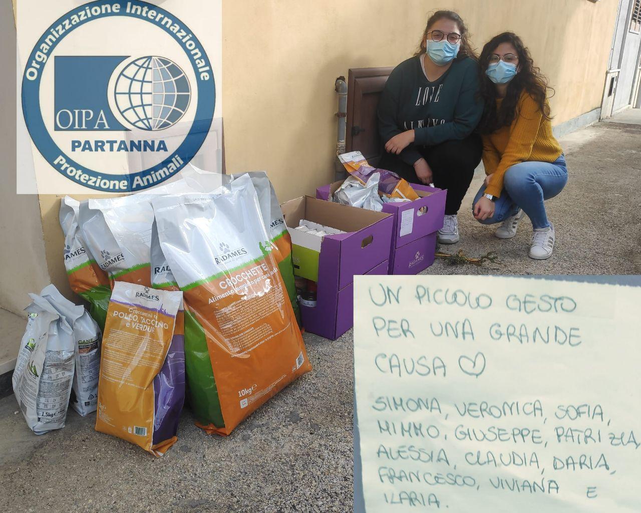 Un gruppo di giovani dona cibo per cani e gatti all’Oipa di Partanna