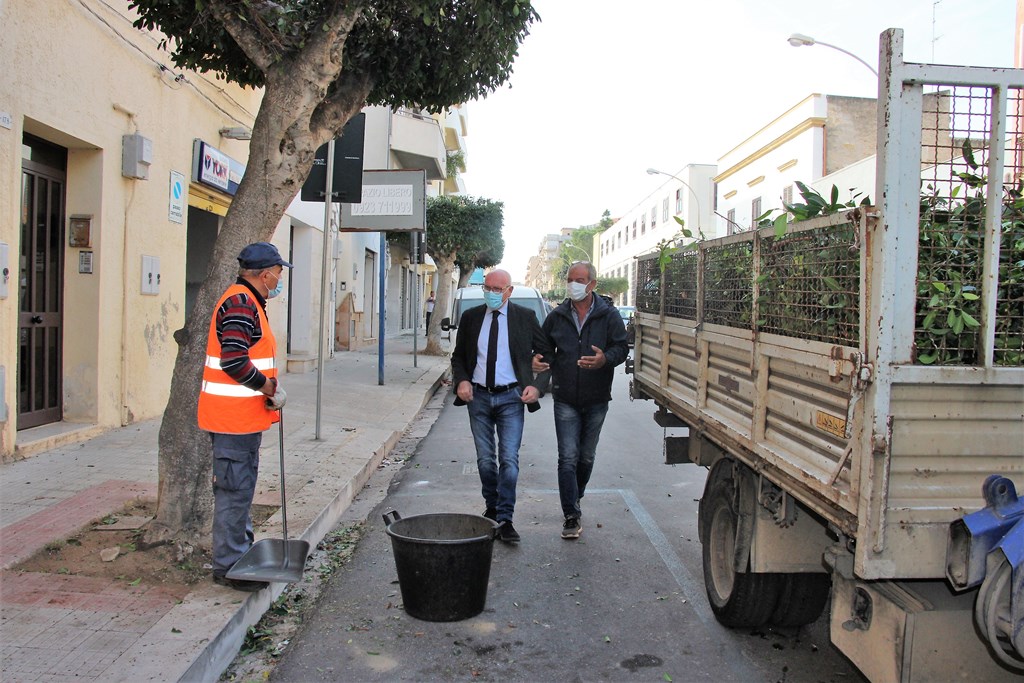 Marsala: disposta la potatura degli alberi in Città