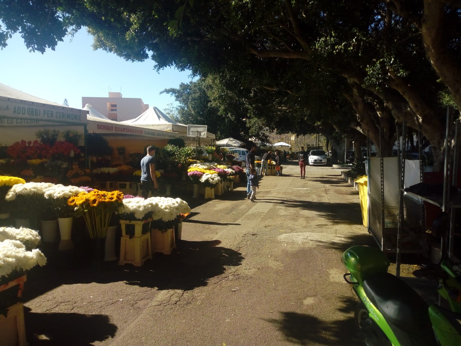 Covid, “BonuSicilia – Fiorai”: contributi a 644 imprese, nuovo bando ad agosto