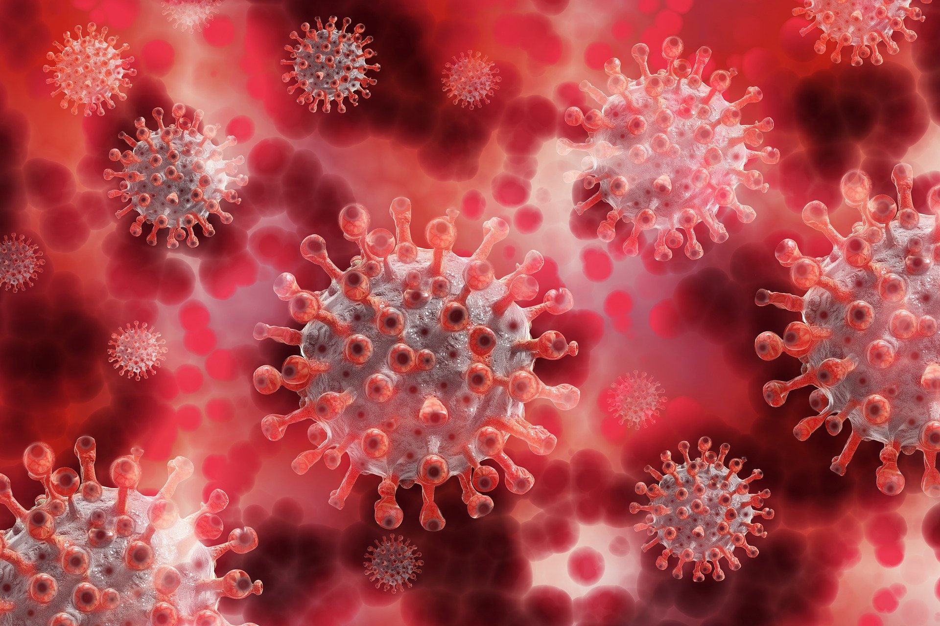 Coronavirus in calo i contagi,  di domenica 8 novembre: 32.616 nuovi casi con 191mila tamponi