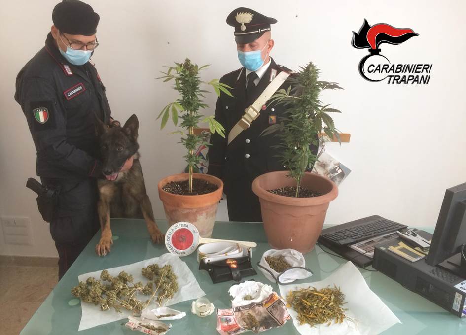 Controlli dei Carabinieri a Mazara e Vita, tanti giovani denunciati per droga