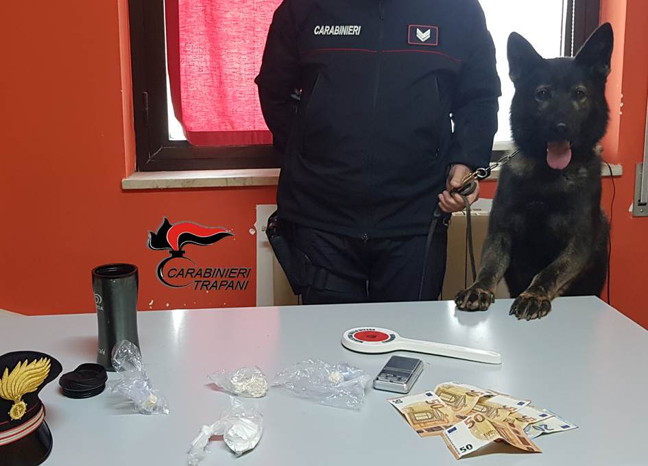 Trapani: il cane Lego scova droga e denaro in casa di un 35enne