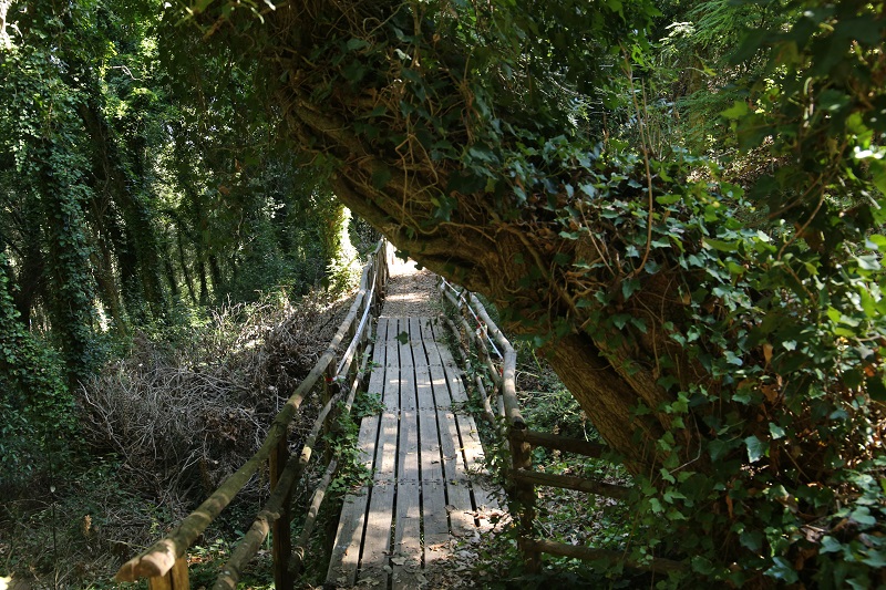 Erice: ripuliti e messi in sicurezza i sentieri del bosco di Bonagia