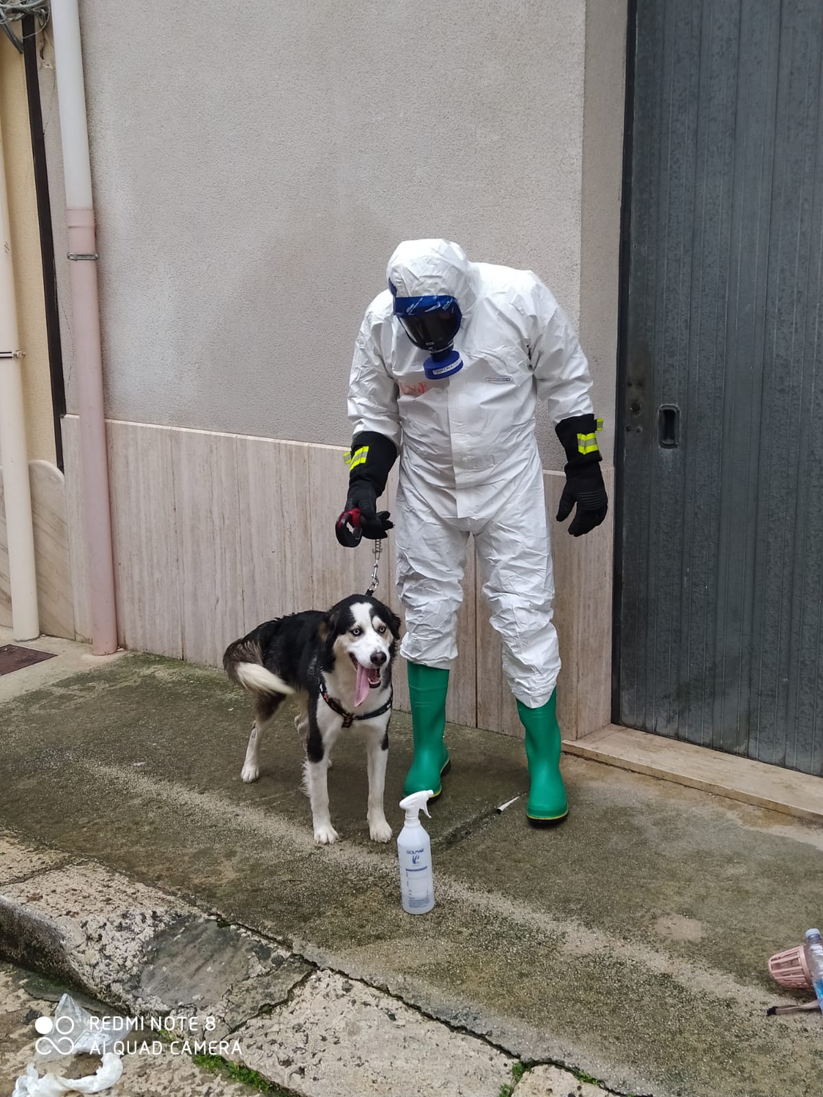 I vigili del fuoco salvano un cane di una signora che si trova in isolamento per covid