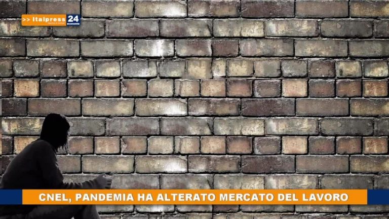 CNEL, pandemia ha alterato mercato del lavoro