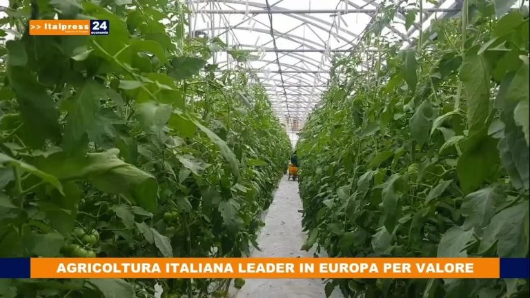 Agricoltura italiana leader in Europa per valore aggiunto