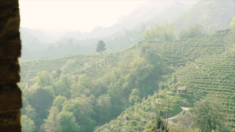 L’unione nazionale delle Pro Loco celebra “Le Colline del Prosecco”