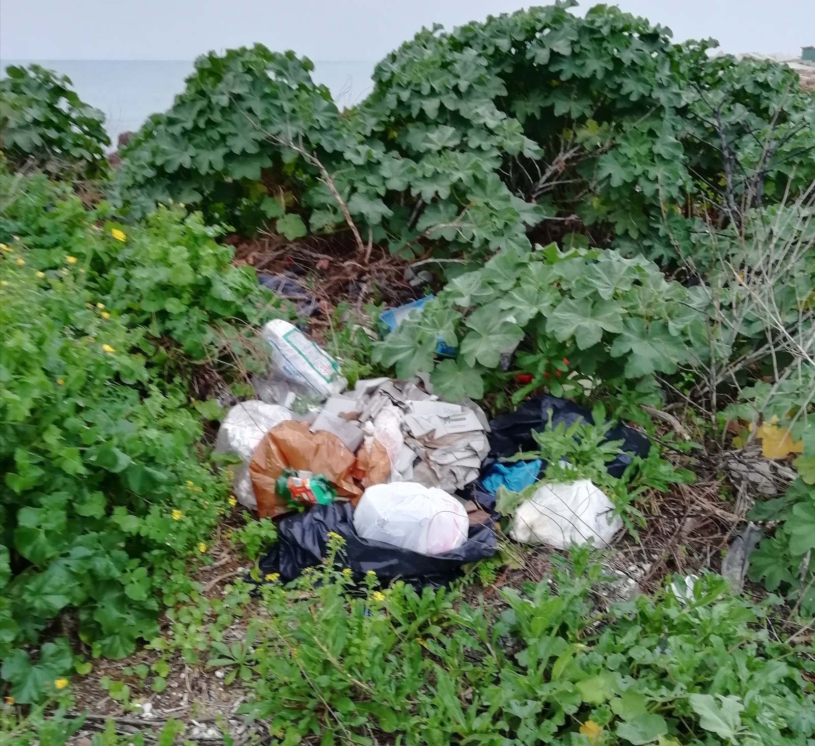 Aziende vinicole e agricole scrivono al sindaco: “Campagne piene di discariche”. Ecco le proposte