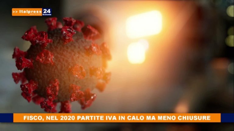 Partite Iva in calo nel 2020