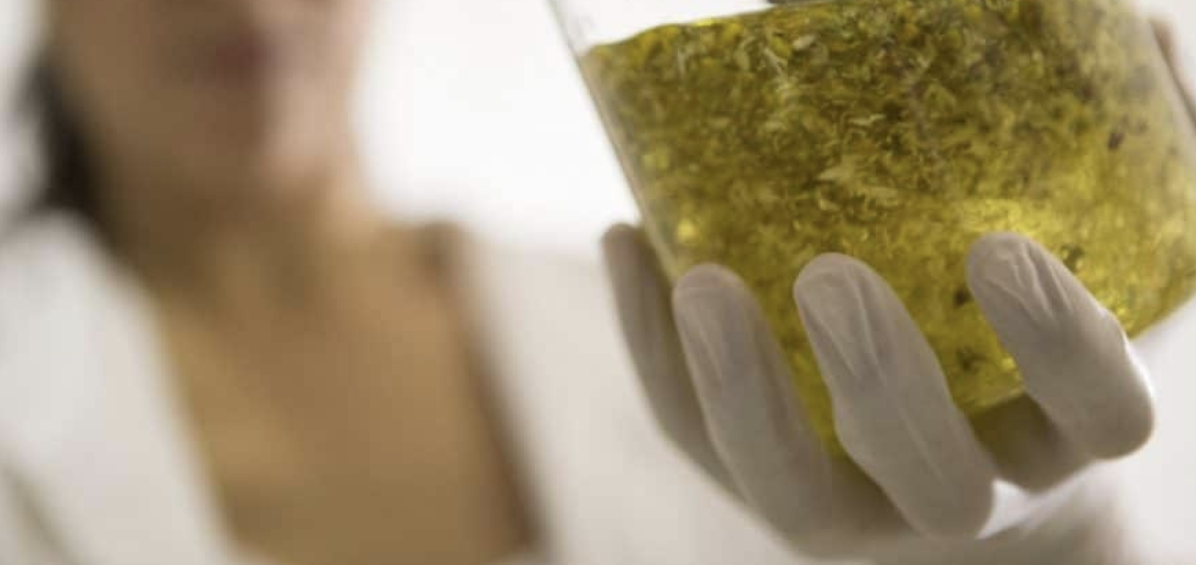 Marsala: rimborsi di preparati a base di cannabis, soddisfazione dell’assessore D’Alessandro