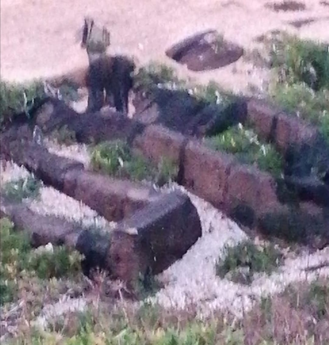 Scrive Vito Reina sul degrado delle antiche tombe di Capo Boeo