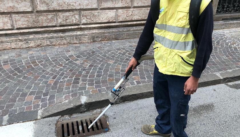 Trattamento larvicida a Trapani: ecco quando e cosa fare