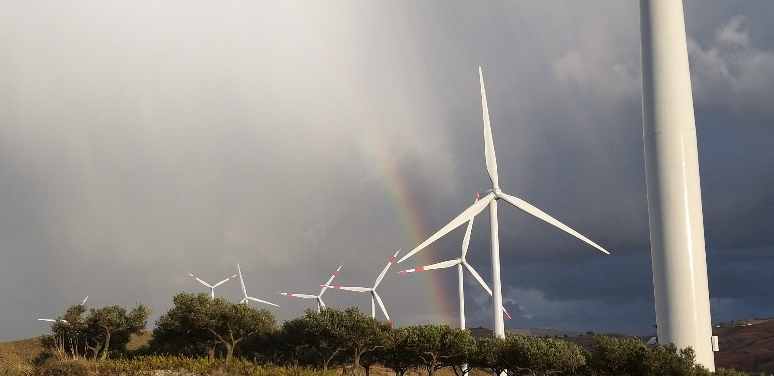 Giornata del Riciclo, raccolta di rifiuti vicino al Parco eolico di Buseto