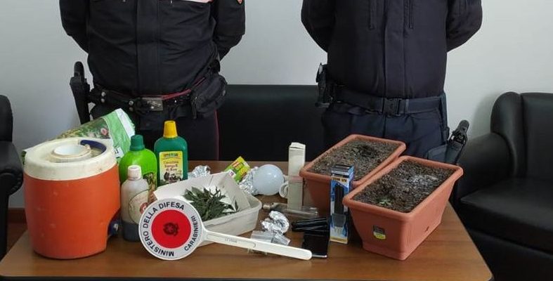 Alcamo: arrestato 45enne per spaccio di marijuana, in casa serra ‘fai da te’