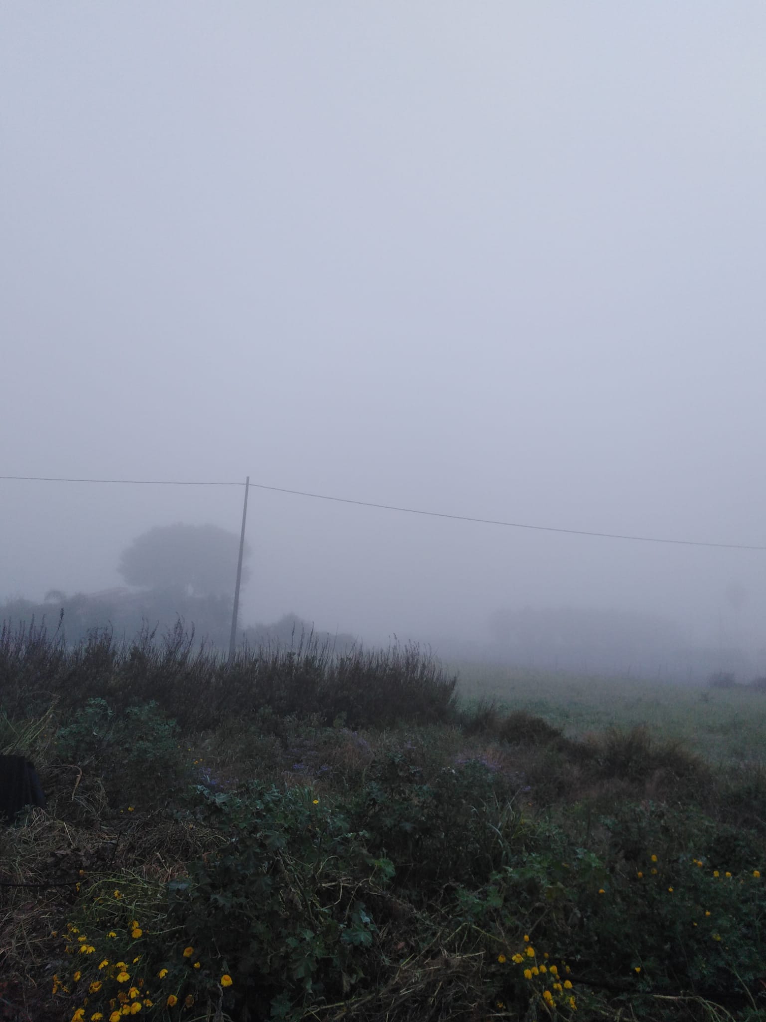 Marsala si sveglia con nebbia fitta e scarsa visibilità