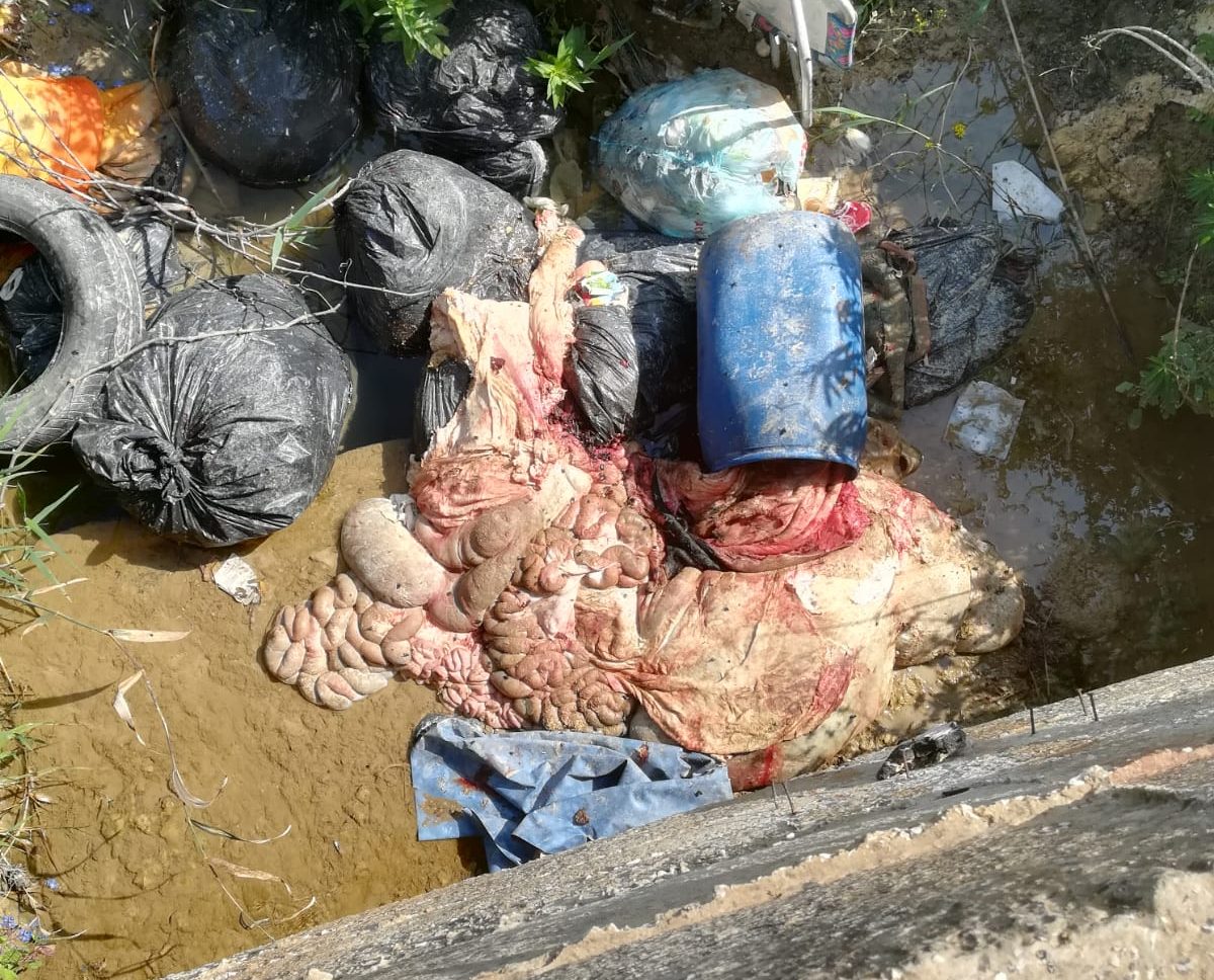 Una discarica a cielo aperto tra Ciancio e Sant’Onofrio