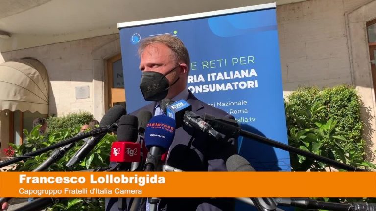 Banda ultralarga, Lollobrigida (FdI) “Colmare i divari in Italia”