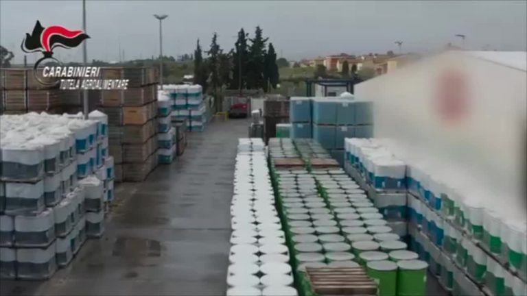 Covid, il sistema agroalimentare italiano ha retto