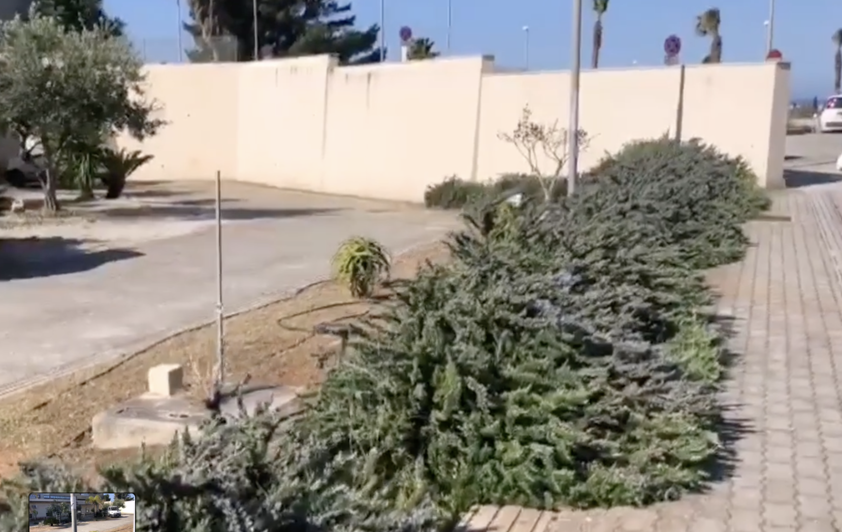 L’Associazione Batticuore Batti pulisce le aiuole dell’ospedale di Marsala. VIDEO